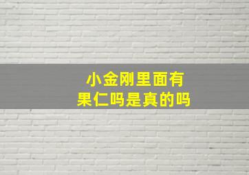 小金刚里面有果仁吗是真的吗