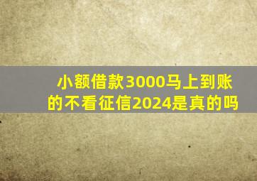 小额借款3000马上到账的不看征信2024是真的吗