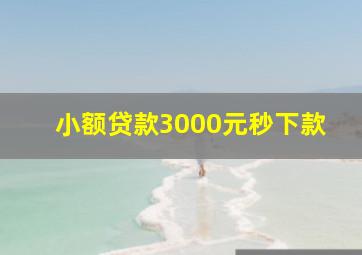 小额贷款3000元秒下款