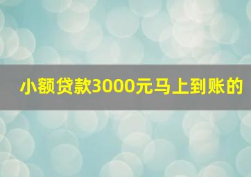 小额贷款3000元马上到账的