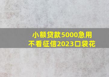 小额贷款5000急用不看征信2023口袋花