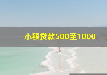 小额贷款500至1000