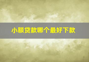 小额贷款哪个最好下款