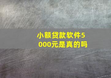 小额贷款软件5000元是真的吗