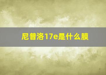 尼普洛17e是什么膜