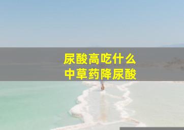 尿酸高吃什么中草药降尿酸