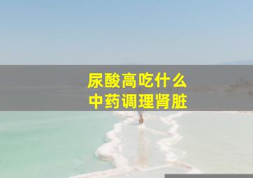 尿酸高吃什么中药调理肾脏