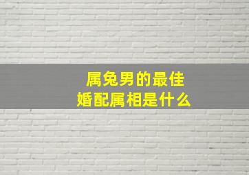 属兔男的最佳婚配属相是什么