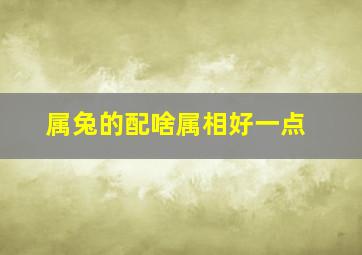 属兔的配啥属相好一点