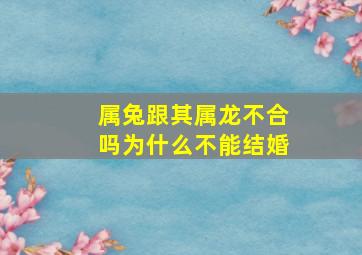 属兔跟其属龙不合吗为什么不能结婚