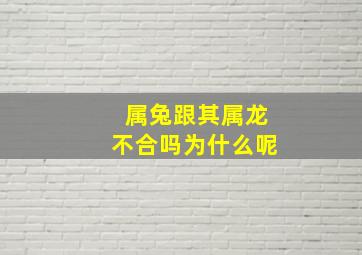 属兔跟其属龙不合吗为什么呢