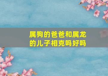 属狗的爸爸和属龙的儿子相克吗好吗