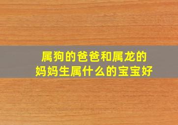 属狗的爸爸和属龙的妈妈生属什么的宝宝好