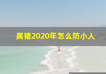 属猪2020年怎么防小人