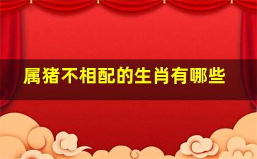 属猪不相配的生肖有哪些