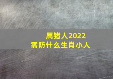 属猪人2022需防什么生肖小人