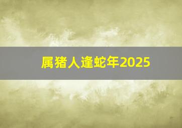 属猪人逢蛇年2025