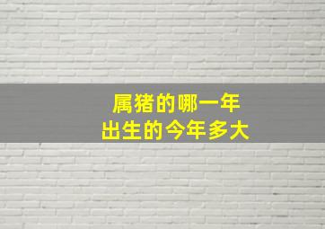 属猪的哪一年出生的今年多大