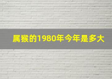 属猴的1980年今年是多大