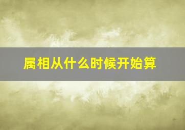 属相从什么时候开始算