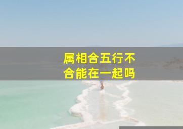 属相合五行不合能在一起吗