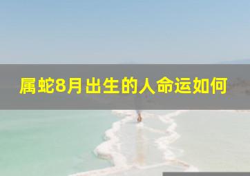 属蛇8月出生的人命运如何