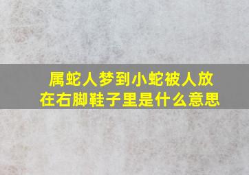 属蛇人梦到小蛇被人放在右脚鞋子里是什么意思