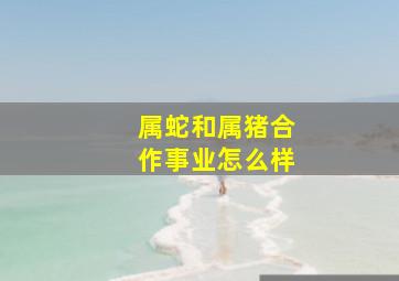 属蛇和属猪合作事业怎么样