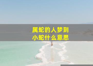 属蛇的人梦到小蛇什么意思