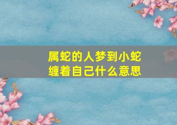 属蛇的人梦到小蛇缠着自己什么意思