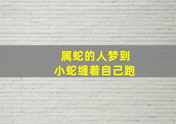 属蛇的人梦到小蛇缠着自己跑