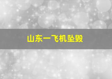 山东一飞机坠毁