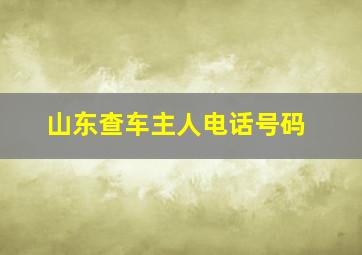 山东查车主人电话号码