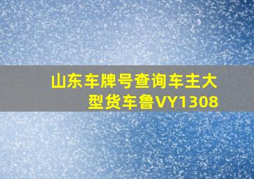 山东车牌号查询车主大型货车鲁VY1308