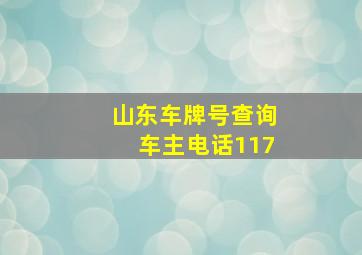 山东车牌号查询车主电话117