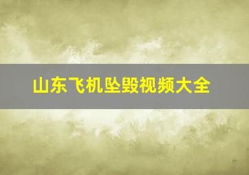 山东飞机坠毁视频大全