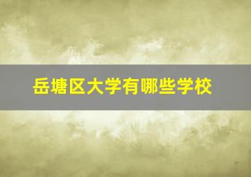 岳塘区大学有哪些学校