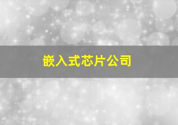 嵌入式芯片公司