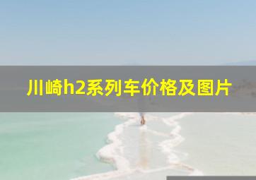 川崎h2系列车价格及图片