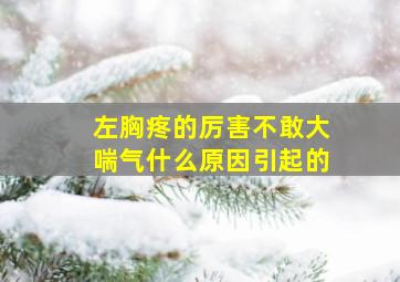 左胸疼的厉害不敢大喘气什么原因引起的