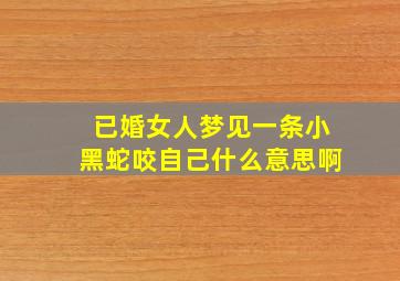 已婚女人梦见一条小黑蛇咬自己什么意思啊