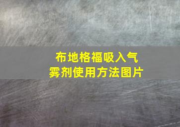 布地格福吸入气雾剂使用方法图片