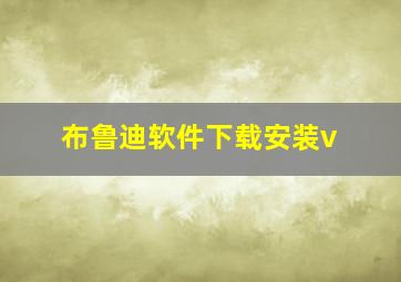 布鲁迪软件下载安装v