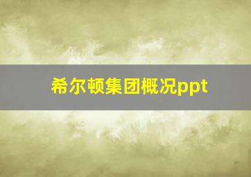 希尔顿集团概况ppt