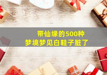 带仙缘的500种梦境梦见白鞋子脏了