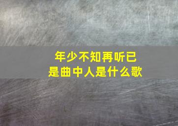 年少不知再听已是曲中人是什么歌