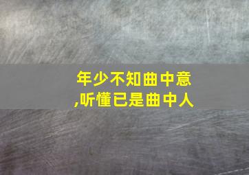 年少不知曲中意,听懂已是曲中人