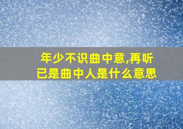 年少不识曲中意,再听已是曲中人是什么意思