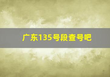 广东135号段查号吧