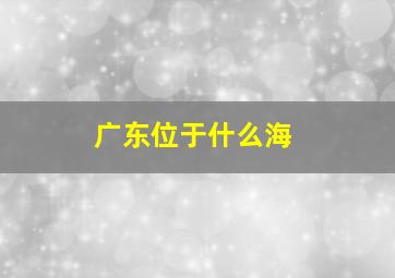 广东位于什么海